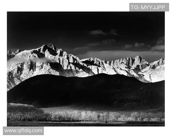 亚当斯的传奇人生与影响力探讨：从历史到现代的启示与反思